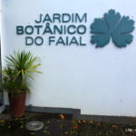 Jardim Botanico do Faial - isola di Faial (Azzorre)
