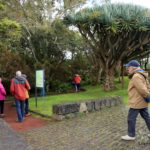 Jardim Botanico do Faial - isola di Faial (Azzorre)