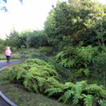 Jardim Botanico do Faial - isola di Faial (Azzorre)