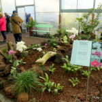 Jardim Botanico do Faial - isola di Faial (Azzorre)