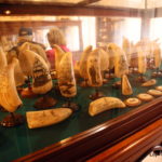 Museu do Scrimshaw - Peter Café Sport - Horta - isola di Faial (Azzorre)